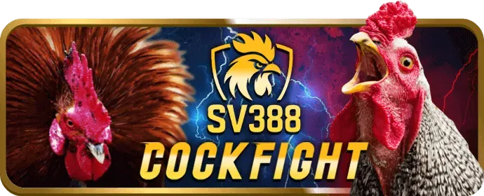 Đá gà trực tuyến bet39 nổ hũ
